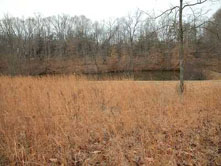 Lot Overlooks Neighboring Pond