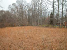 Large 1.5 Acre Lot